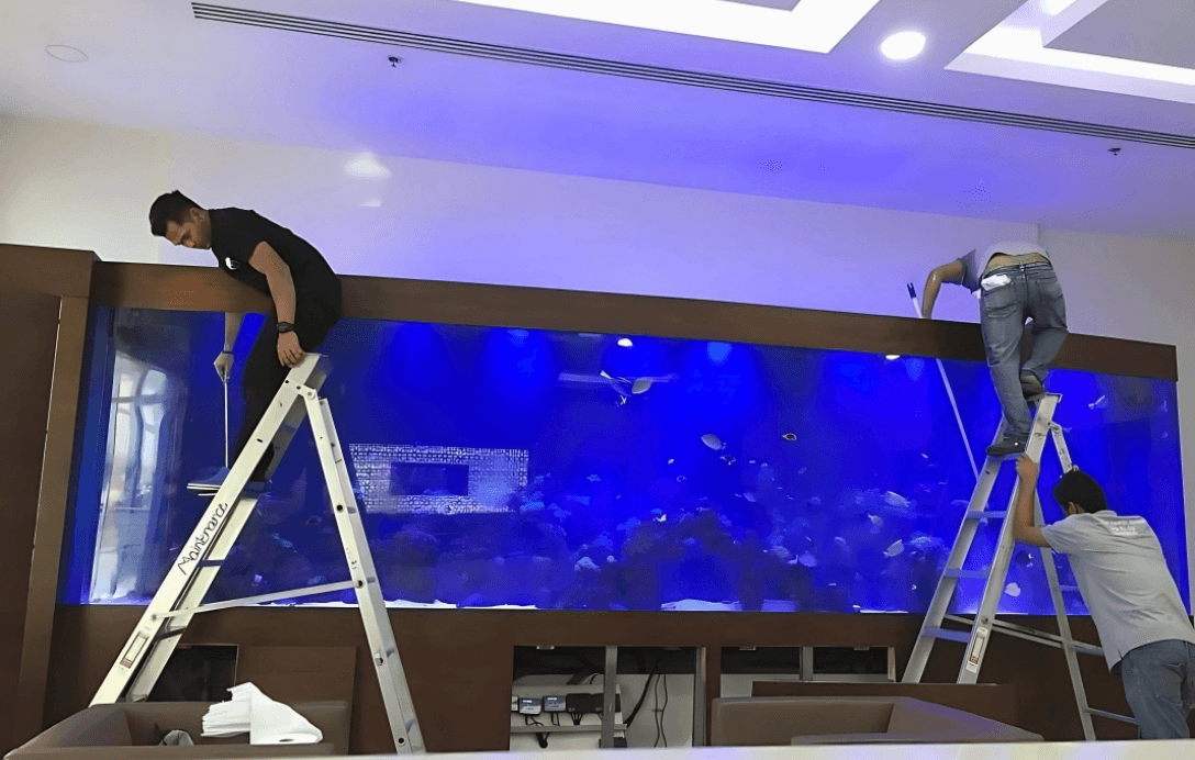 Aquarium Maintenances Servises: Essential Rules for Aquarium Maintenance in Dubai
