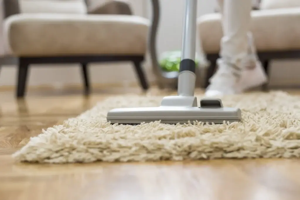 Steam vs Shampoo Carpet Cleaning: Which Works Best in Dubai?